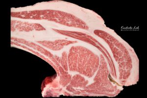 ジェネティクス北海道　英貞産子枝肉写真　十勝北乃夢牧場株式会社様