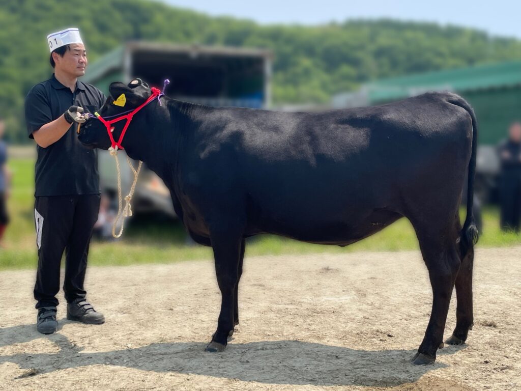ジェネティクス北海道　勝早桜５産子写真　田野勝也様