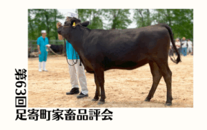 ジェネティクス北海道　第63回足寄町家畜品評会