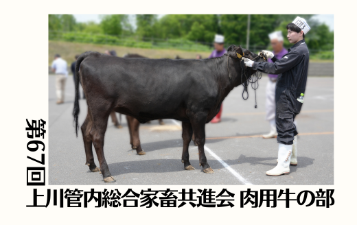 第67回上川管内総合家畜共進会 肉用牛の部《梅栄福・博紅葉・北美津久