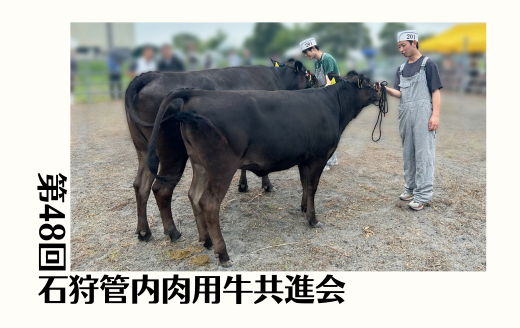 第48回石狩管内肉用牛共進会《北美津久》 | GH-CONTENT