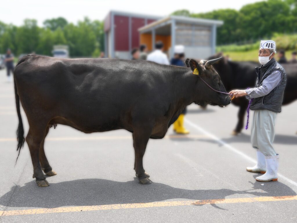 ジェネティクス北海道　梅栄福産子　森内恒夫様
