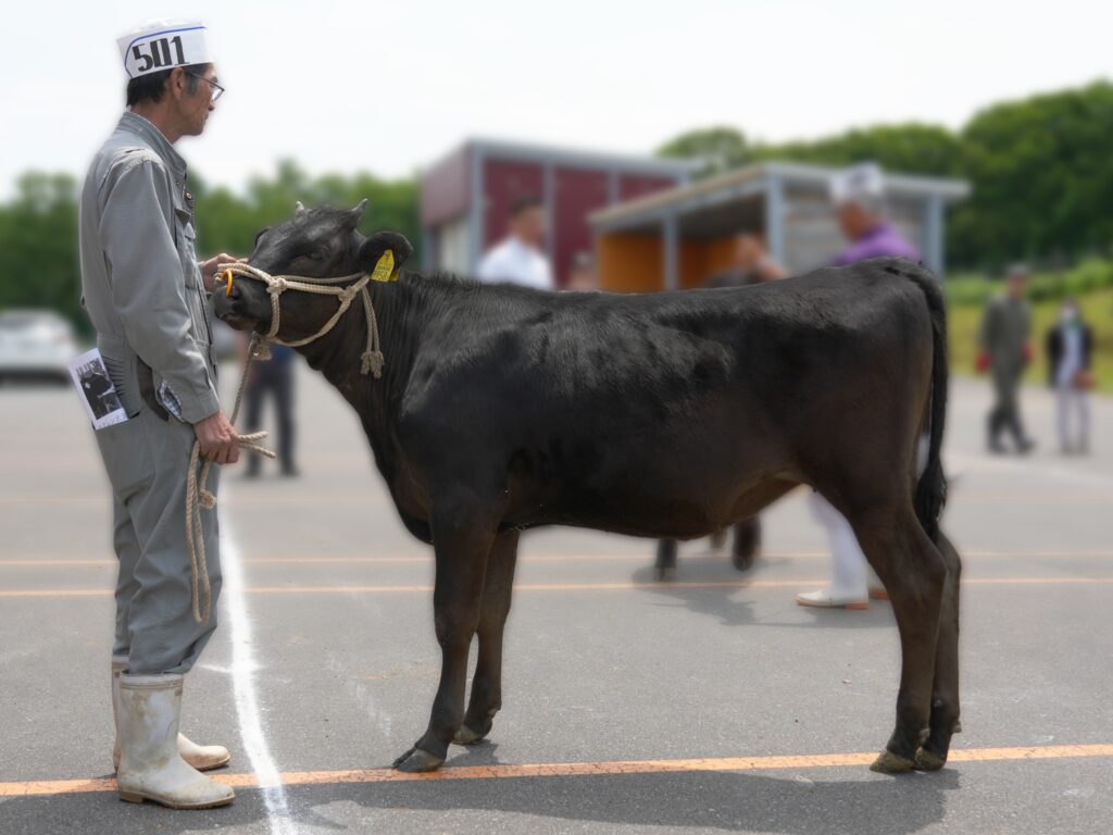 ジェネティクス北海道　博紅葉産子　瀬戸孝志様