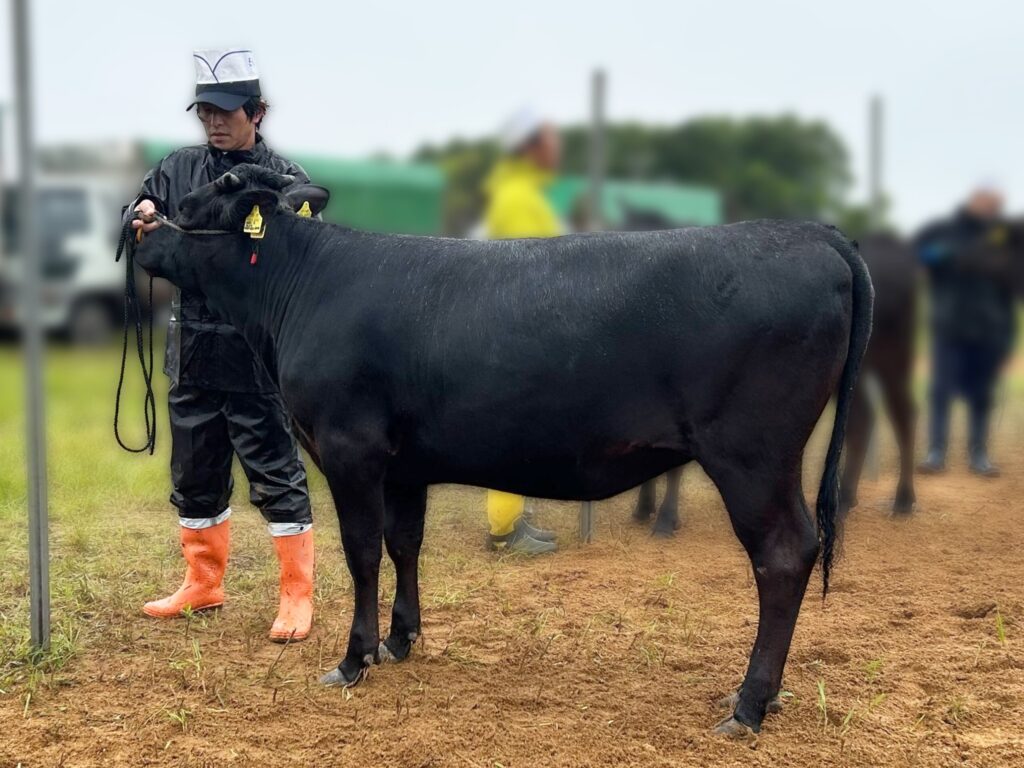 ジェネティクス北海道　拓忠平産子写真　加藤啓介様