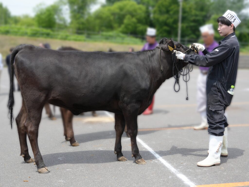 ジェネティクス北海道　北美津久産子　松岡康弘様