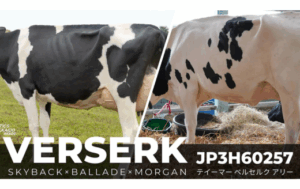 ジェネティクス北海道　JP3H60257　ベルセルク