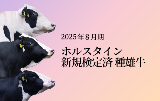 2025-08-holstein-new-1.png
