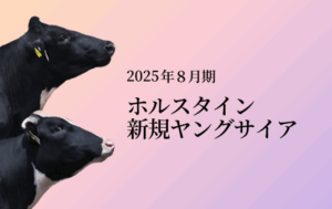 ジェネティクス北海道　2025年８月ホルスタイン新規ヤングサイア