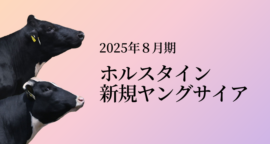 ジェネティクス北海道 2025年8月ホルスタイン新規ヤングサイア