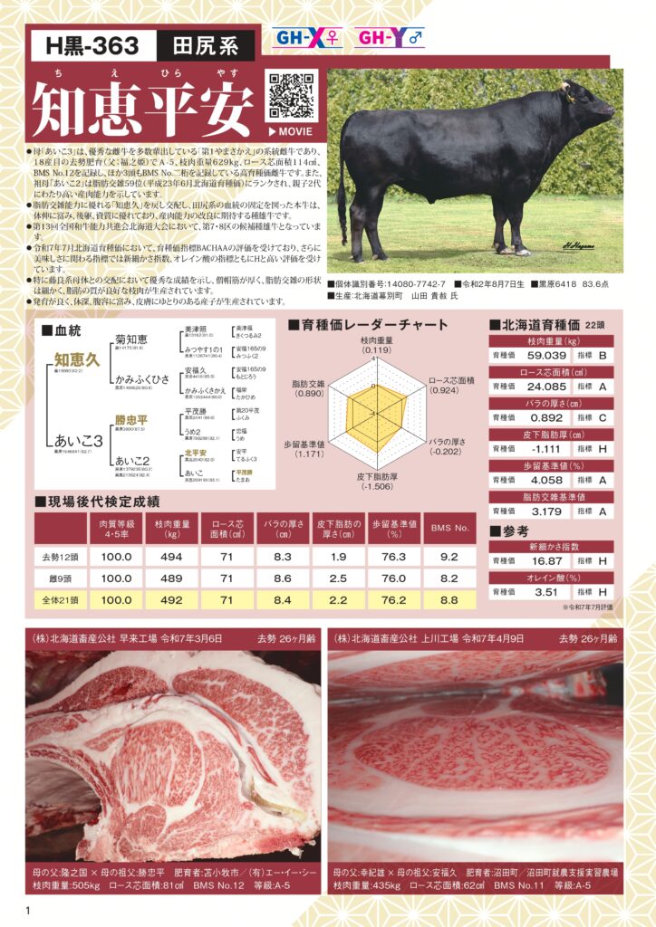 ジェネティクス北海道　H黒-363　知恵平安