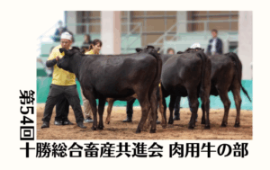 ジェネティクス北海道　第54回十勝総合畜産共進会 肉用牛の部