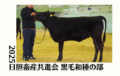 ジェネティクス北海道　2025日胆畜産共進会 黒毛和種の部