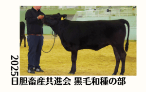 ジェネティクス北海道　2025日胆畜産共進会 黒毛和種の部