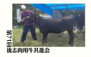 ジェネティクス北海道　第71回後志肉用牛共進会
