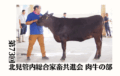 ジェネティクス北海道　第73回北見管内総合家畜共進会 肉牛の部