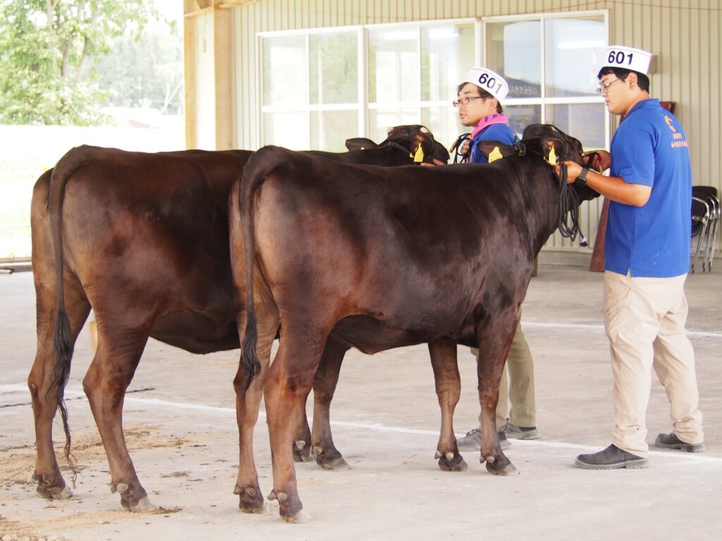 ジェネティクス北海道　勝早桜５産子　朝妻隆志様