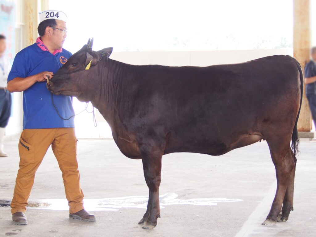 ジェネティクス北海道　北美津久産子　小野真司様