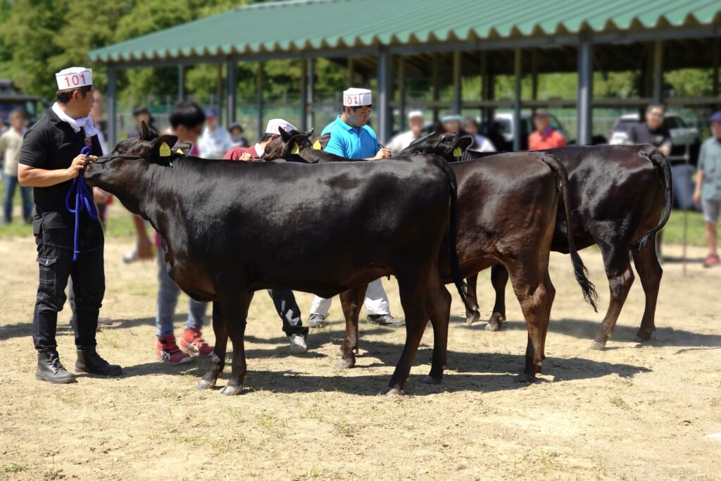 ジェネティクス北海道　博紅葉産子　村瀬一人様　株式会社境田農産様