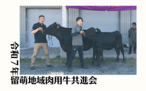 ジェネティクス北海道　令和７年留萌地域肉用牛共進会