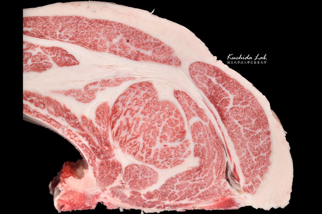 ジェネティクス北海道　英貞産子枝肉　有限会社金子ファーム様