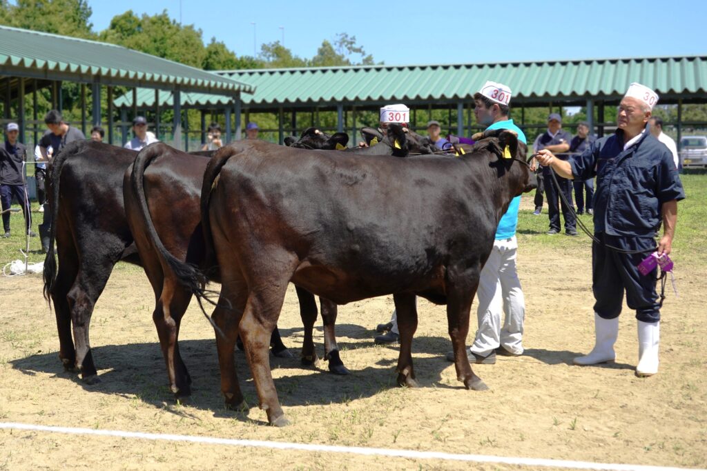ジェネティクス北海道　北美津久産子　佐藤弘一様