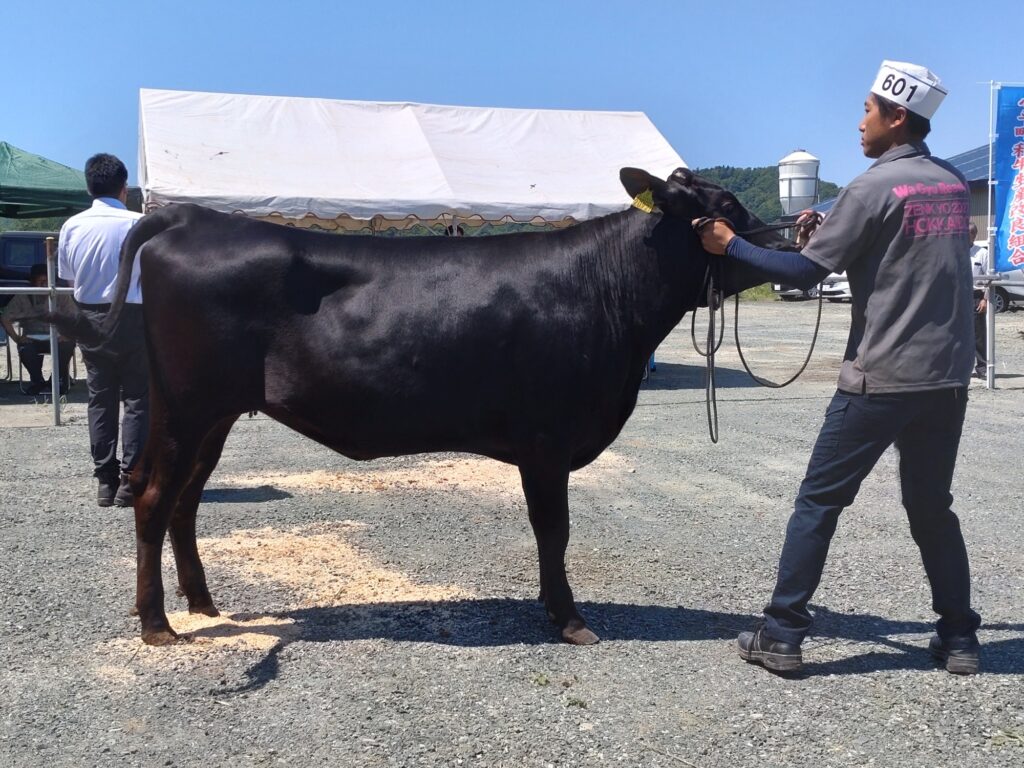 ジェネティクス北海道　博紅葉産子　山口慎也様