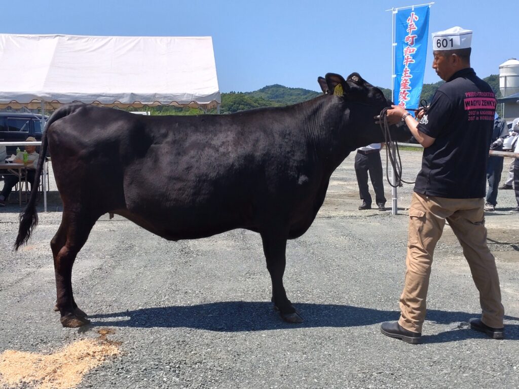 ジェネティクス北海道　安幸福産子　山口慎也様