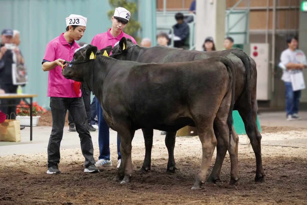 ジェネティクス北海道　北美津久・美国桜産子　酪農学園大学 元野幌農場様