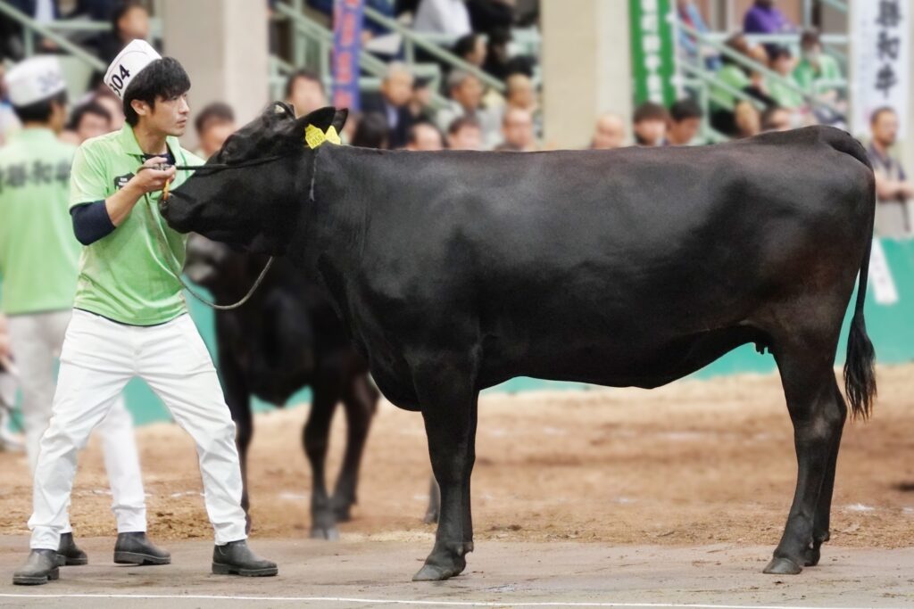 ジェネティクス北海道　英貞産子　多田将平様