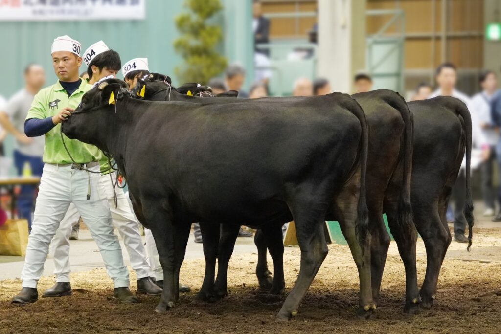 ジェネティクス北海道　北美津久・英貞産子　武田大治様　多田将平様