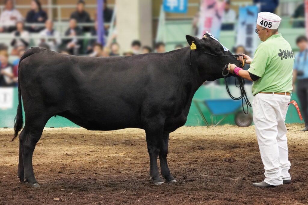 ジェネティクス北海道　英貞産子　有限会社赤川牧場様
