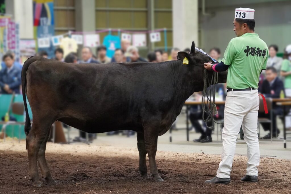 ジェネティクス北海道　北美津久産子　清水孝悦様
