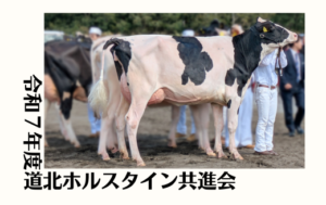 ジェネティクス北海道　令和７年度道北ホルスタイン共進会