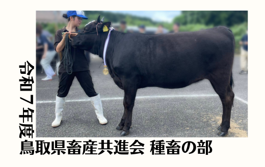 令和7年度鳥取県畜産共進会 種畜の部《北美津久》 | GH-CONTENT