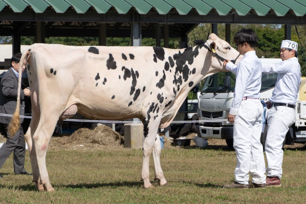 ジェネティクス北海道　ドラゴンボール娘牛　輪島寛様