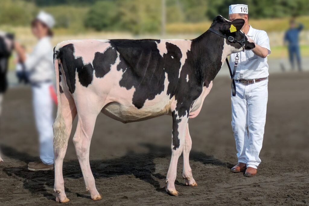 ジェネティクス北海道　リトルスター娘牛　中嶋卓広様