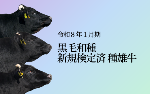 令和8年1月期 新規黒毛和種種雄牛紹介 | GH-CONTENT
