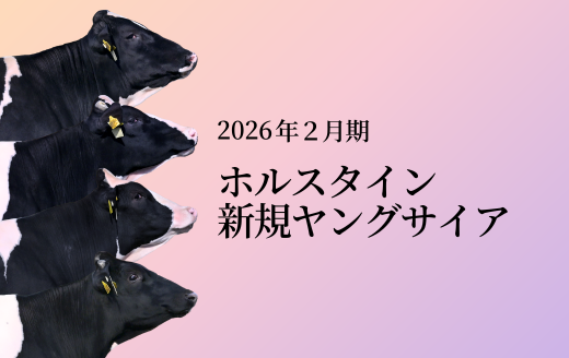 2026年2月 新規ヤングサイア紹介 | GH-CONTENT