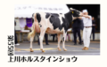 2026-04-28-holsteinshow
